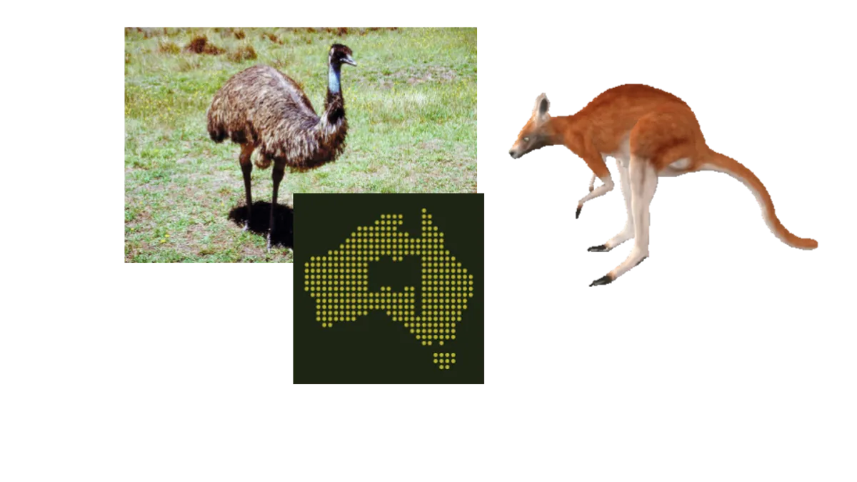 some down under ctf 2025 web writeups